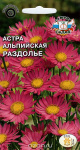 Астра Раздолье (альпийская, розовая)