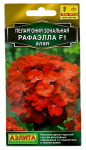 Пеларгония зональная РАФАЭЛЛА АЛАЯ АЭЛИТА