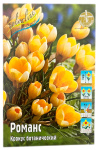 Крокус Романс (Crocus Romance chrysanthus)
