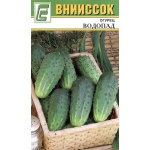 Огурец Водопад
