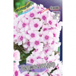 Флокс Кирмеслендер (1шт) 1266