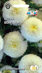 Астра Бон-Бон (помпонная, белоснежная)
