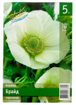 Анемона БРАЙД корончатая