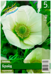 Анемона БРАЙД корончатая