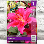 Лилия Гомера восточная