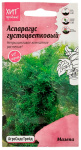 Аспарагус густоцветковый МАЗЕПА АгроСидсТрейд