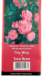 Миниатюрные розы ТИНИ ВИНИ TINY WINY