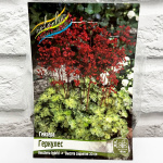 Гейхера ГЕРКУЛЕС