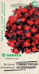 Бегония Викинг красная на шоколадном F1, гибрид. гранул. 4 шт. проб. Саката сер. Элитная клумба Н21