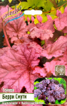 Гейхера Берри Смути (1шт)