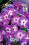 Флокс Майес Копийн (1шт) 3172