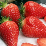 Земляника (Клубника) Альба в кассете