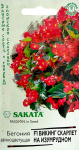 Бегония Викинг Скарлет на изумрудном F1, гибрид. гранул. 4 шт. проб. Саката сер. Элитная клумба Н21