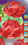 Тюльпан Миранда (1шт) 3398 (10)
