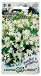 Незабудка Виктория белая ГАВРИШ