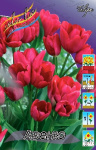 Тюльпан Авеню (1шт) 2669