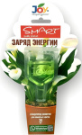 Стимулятор для комнатных цветов Заряд энергии 30мл JOY