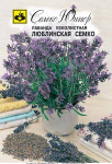 Лаванда Люблинская Семко