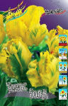 Тюльпан Техас золотой (1шт) (5)