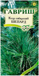 Кедр сибирский сосна кедровая сибирская ШЕПАРД ГАВРИШ