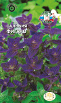 Сальвия Фигаро (хорминовая, темно-синяя)
