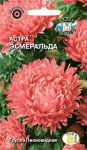 Астра Эсмеральда (пионовидная, розовая)