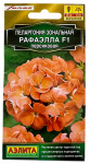 Пеларгония зональная РАФАЭЛЛА ПЕРСИКОВАЯ АЭЛИТА