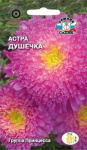 Астра Душечка принцесса (малиново-розовая)