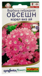 Вербена гибридная ОБСЕШН корал виз ай АЭЛИТА
