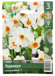 Нарцисс ГЕРАНИУМ многоцветковый