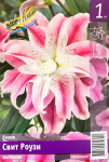 Лилия Свит Роузи (1шт)