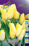 Тюльпан Г.Д. Геншер (1шт) 3335