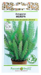 Аспарагус МЕЙЕРА Русский Огород