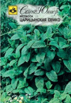 Мелисса Царицынская Семко