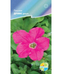 Петуния Дримс роуз