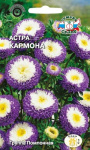 Астра Кармона (помпонная, темно-синяя)