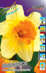 Нарцисс Фортиссимо (1шт)