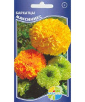Бархатцы Максимикс (нана максимикс)