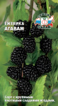 Ежевика Агавам (Евро, 0,05)