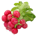 Редис Редис