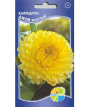Календула Джем желтый (дарф еллоу джем)