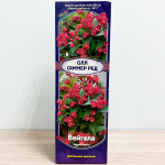 Вейгела ОЛЛ САММЕР РЕД