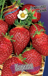 Земляника (Клубника) Корона (5 шт) 352