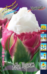 Tulipa Ice Cream