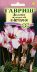 Цикламен Виктория персидский* 3 шт.