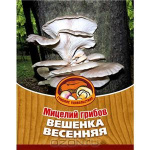 Грибы Вешенка Весенняя