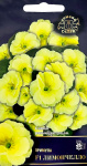 Примула Лимончелло F1 (бесстебельная) (Евро, 5)