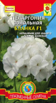 Пеларгония Герань Бланка (белая) 3 шт +