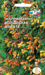Эккремокарпус Волшебная Флейта (смесь цветов)