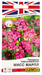 Гвоздика картузианская МИСС МАРПЛ АЭЛИТА